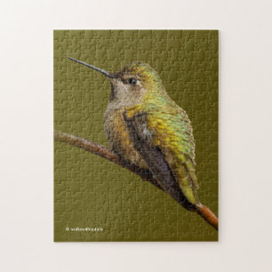 Anna's Hummingbird på Scarlet Trumpetvine Pussel