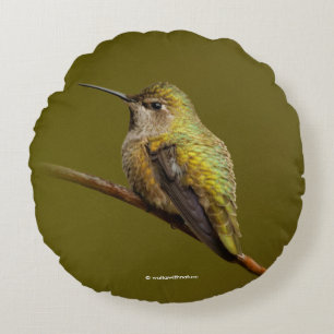 Anna's Hummingbird på Scarlet Trumpetvine Rund Kudde
