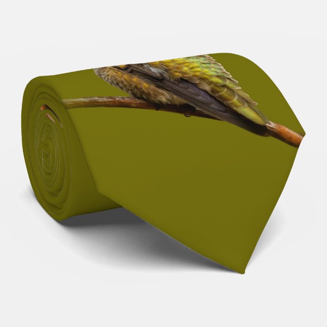 Anna's Hummingbird på Scarlet Trumpetvine Slips (Rullad)