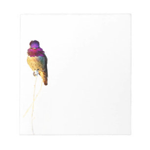 Anna's Hummingbird Photo Anteckningsblock