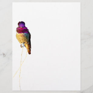 Anna's Hummingbird Photo Letterhead Stationery Brevhuvud
