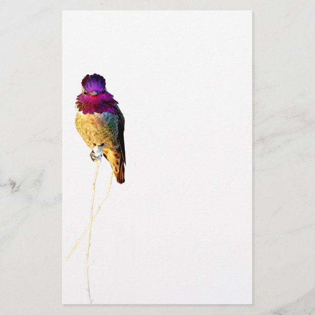 Anna's Hummingbird Photo Stationery Papper (Framsida)