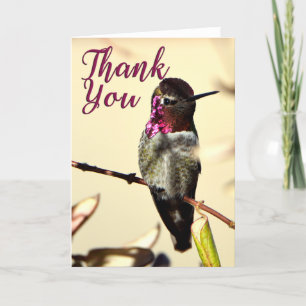 Anna's Hummingbird Photo - tackkort