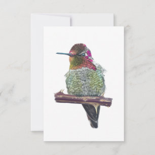Anna's Hummingbird Postcard-Stil Note Card Anteckningskort