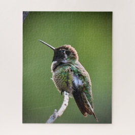 Anna's Hummingbird Pussel