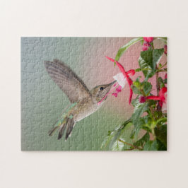 Anna's Hummingbird Pussel