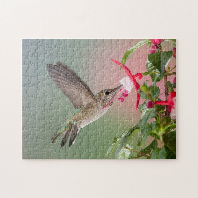 Anna's Hummingbird Pussel (Horisontell)