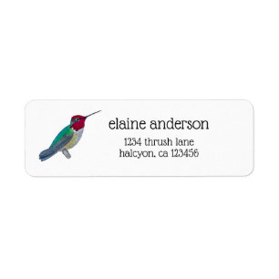 Anna's Hummingbird Returadress Etikett