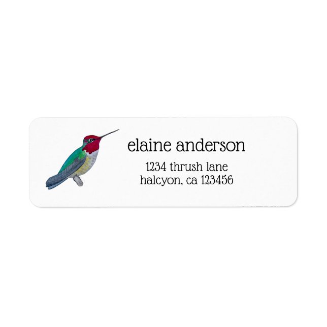 Anna's Hummingbird Returadress Etikett (Framsidan)