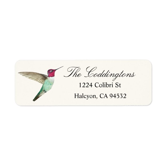 Anna's Hummingbird Returadress Etikett (Framsidan)