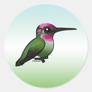 Anna's Hummingbird Runt Klistermärke