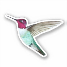 Anna's Hummingbird Sticker