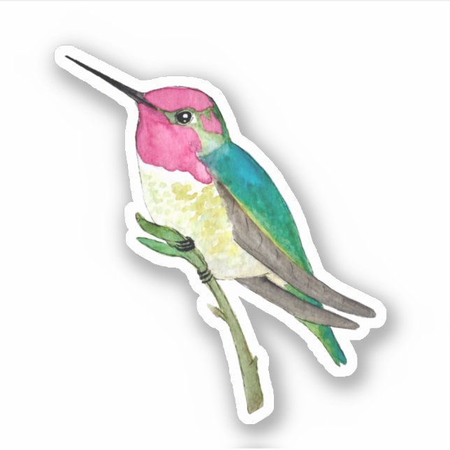 Anna's Hummingbird Sticker Klistermärken (Framsida)