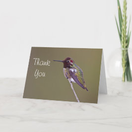 Annas Hummingbird tackar dig Tack Kort