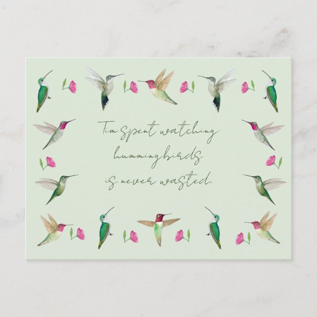 Anna's Hummingbird Vykort (Framsida)