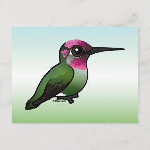 Anna's Hummingbird Vykort
