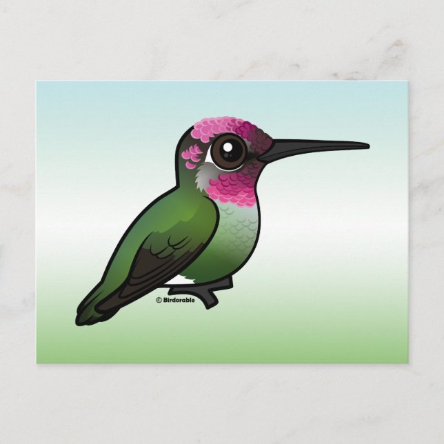 Anna's Hummingbird Vykort (Framsida)