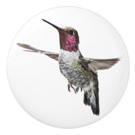 Annas Hummingbirdknopp Knopp