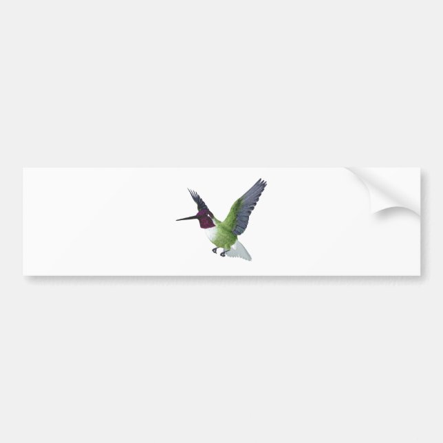 Annas Hummingbirdmanlig Bildekal (Framsidan)