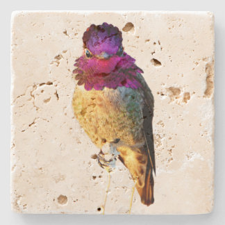 Anna's Kolibri Rosa Fågel Foto Sten Underlägg