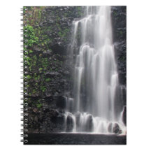 "Anna's Pond" bärbar dator