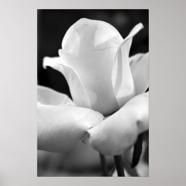 Anna's Ro Poster (Framsidan)