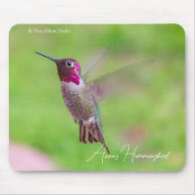 Annastrupig kolibri