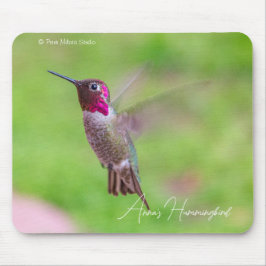 Annastrupig kolibri musmatta