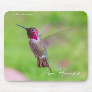 Annastrupig kolibri musmatta