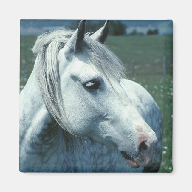 Annat Grått i blommad pastor Magnet (Framsidan)