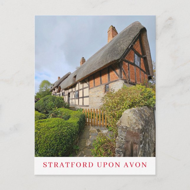 Anne Hathaway-lagervyvyvyvyvykort Vykort (Framsida)