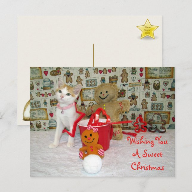 Annie Cat Gingerbröd jul Vykort (Fram/baksida)