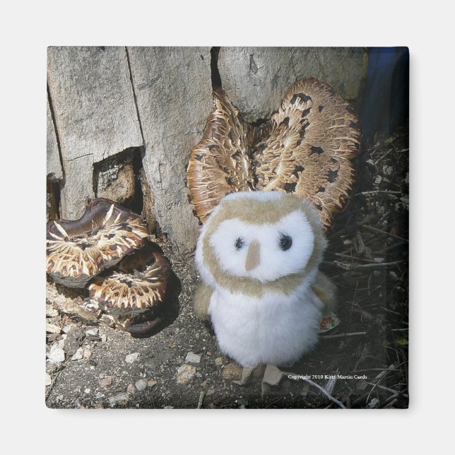 Annie och svampar magnet (Framsidan)