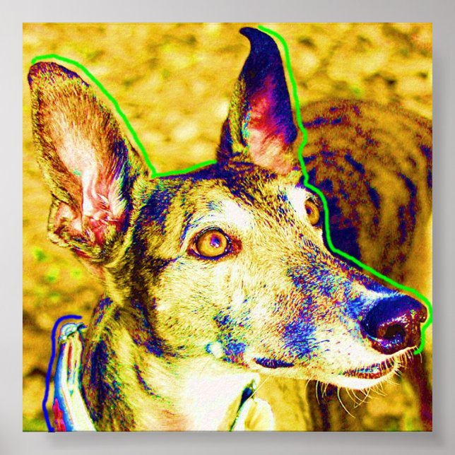 Annie Poster (Framsidan)