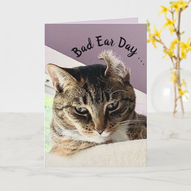 Annie's Bad Ear Day (Cat Greeting Card) Kort (Gul blomma)