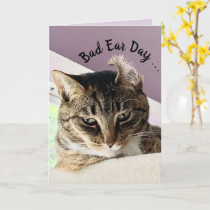 Annie's Bad Ear Day (Cat Greeting Card) Kort