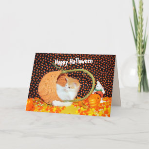 Annie's Basketful of Roligt Cat Halloween Card Kort