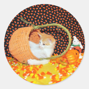 Annie's Basketful of Roligt Cat Halloween Stickers Runt Klistermärke