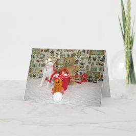 Annie's Cookie Cutters - Cat / Kitten Jul Helgkort