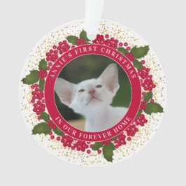 Annie's First Forever Home-julet Ornament