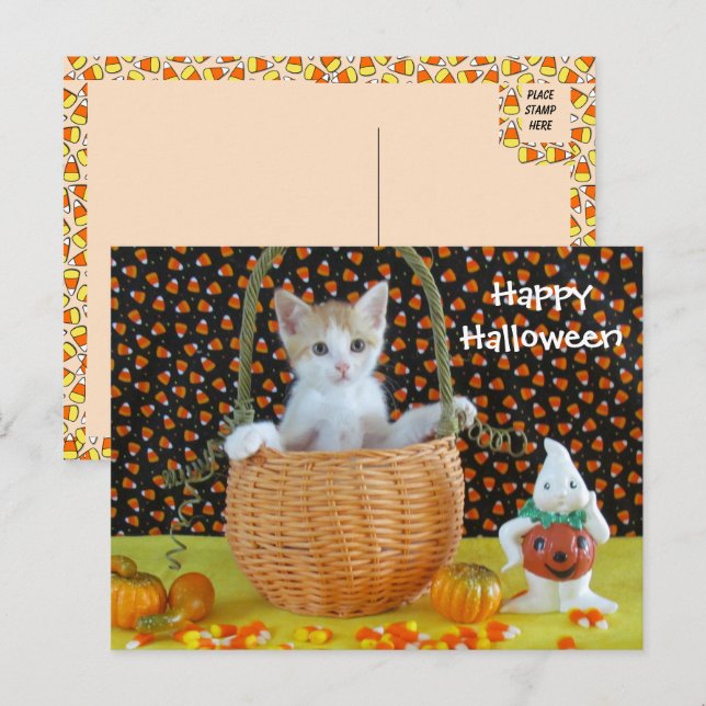 Annie's Halloween Basket Cat /Kitten Vykort (Fram/baksida)