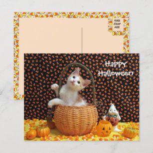 Annie's Nyfikna Halloween Cat Vykort