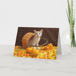 Annie's Sweet Cat / Kitten Halloween Card Kort