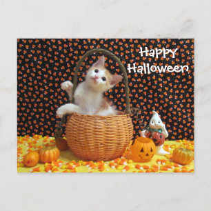 Annie's Sweet Halloween Cat / Kitten Postcard (b) Vykort