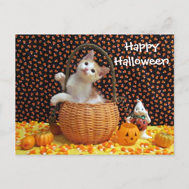 Annie's Sweet Halloween Cat / Kitten Postcard (b) Vykort (Framsida)