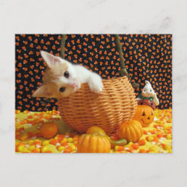 Annie's Sweet Halloween - Cat / Kitten Postcard Vykort