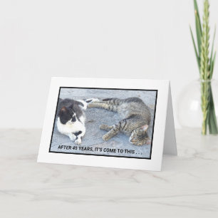 ANNIVERSÄRINNEHÅLL/TVÅ SÖMNIG KATS/HUMOR KORT