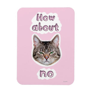 Annolens Kat Magnet