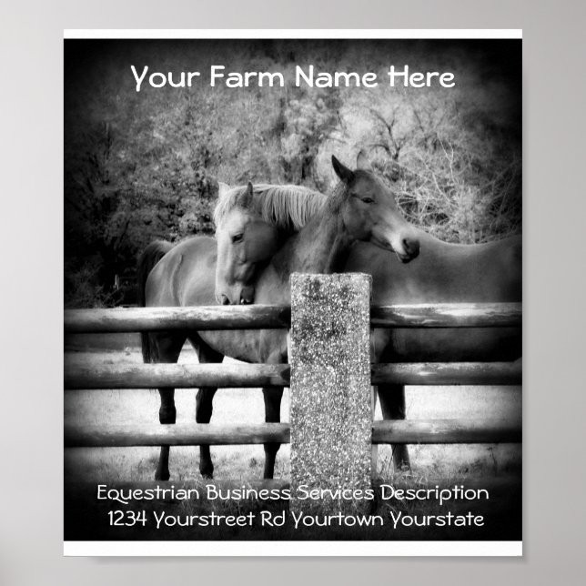 Annonsering av hästar Poster (Framsidan)