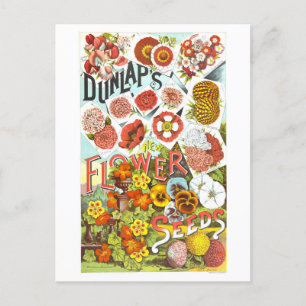 Annonsering av Vintagen Dunlap Flower Seeds Vykort